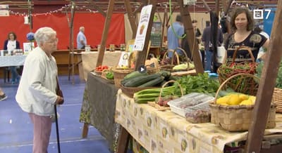Feria ECO21 de Vegadeo: Impulso al consumo de productos Ecológicos