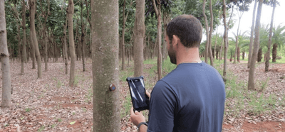 Bosques Smart