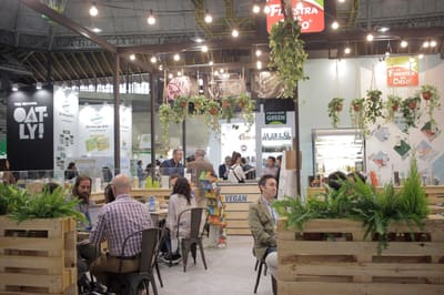 BioCultura Madrid 2024: ¡El encuentro clave para la sostenibilidad y la vida saludable!
