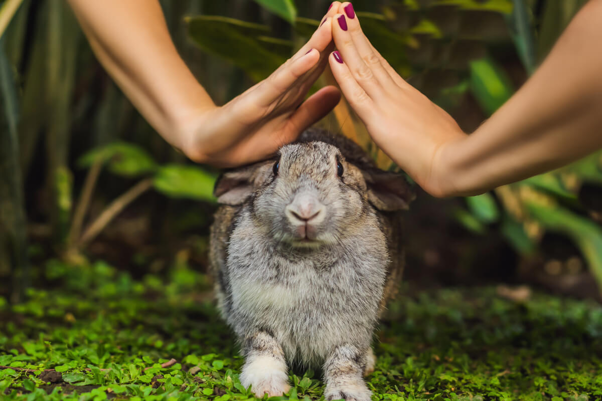 Cruelty Free